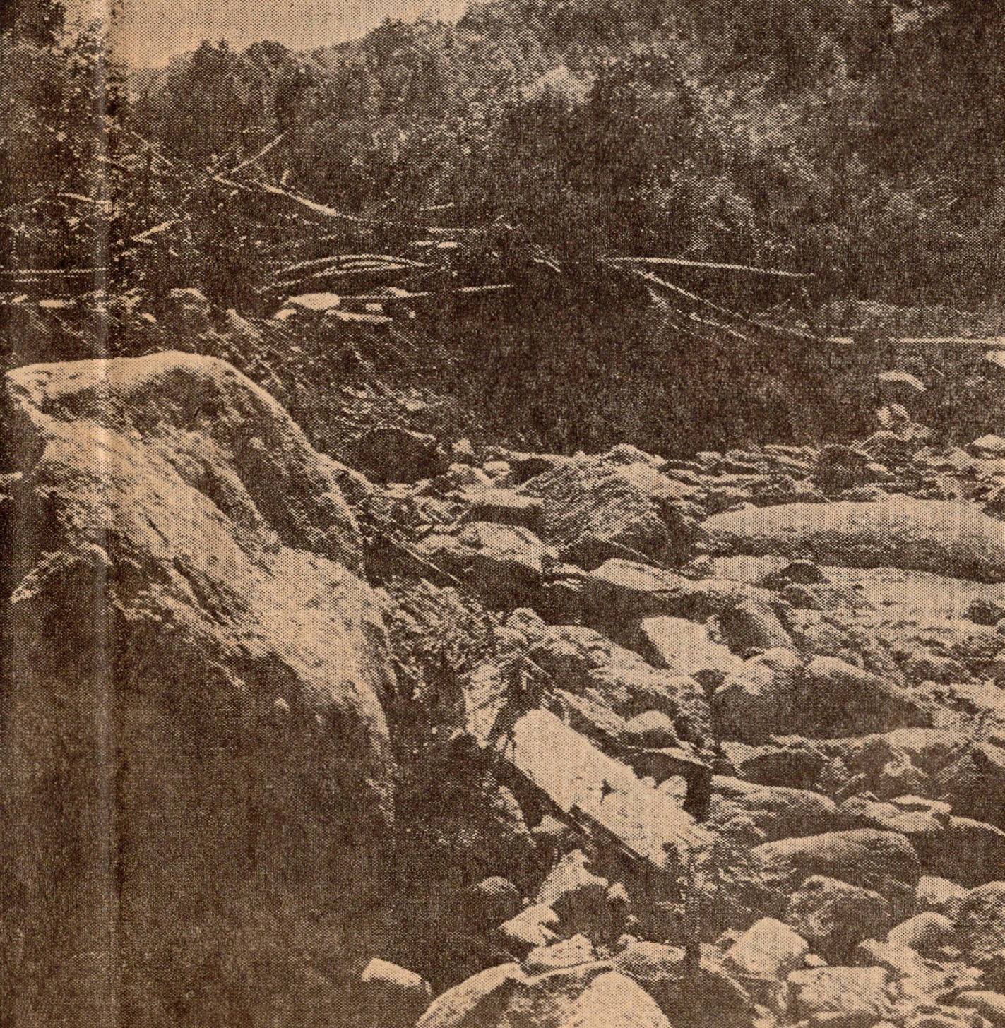 Nelson County
